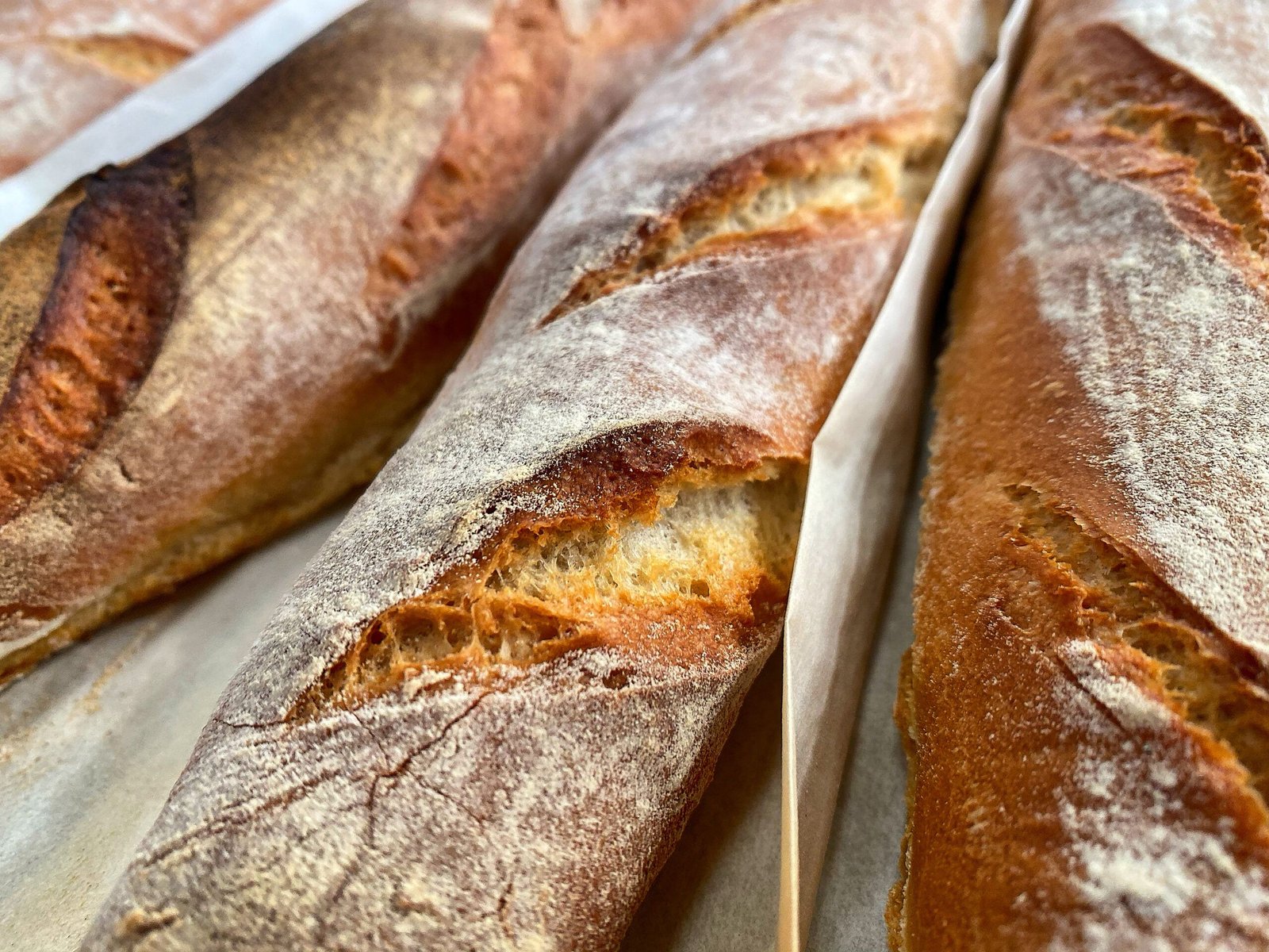 Enlight1264 scaled 1