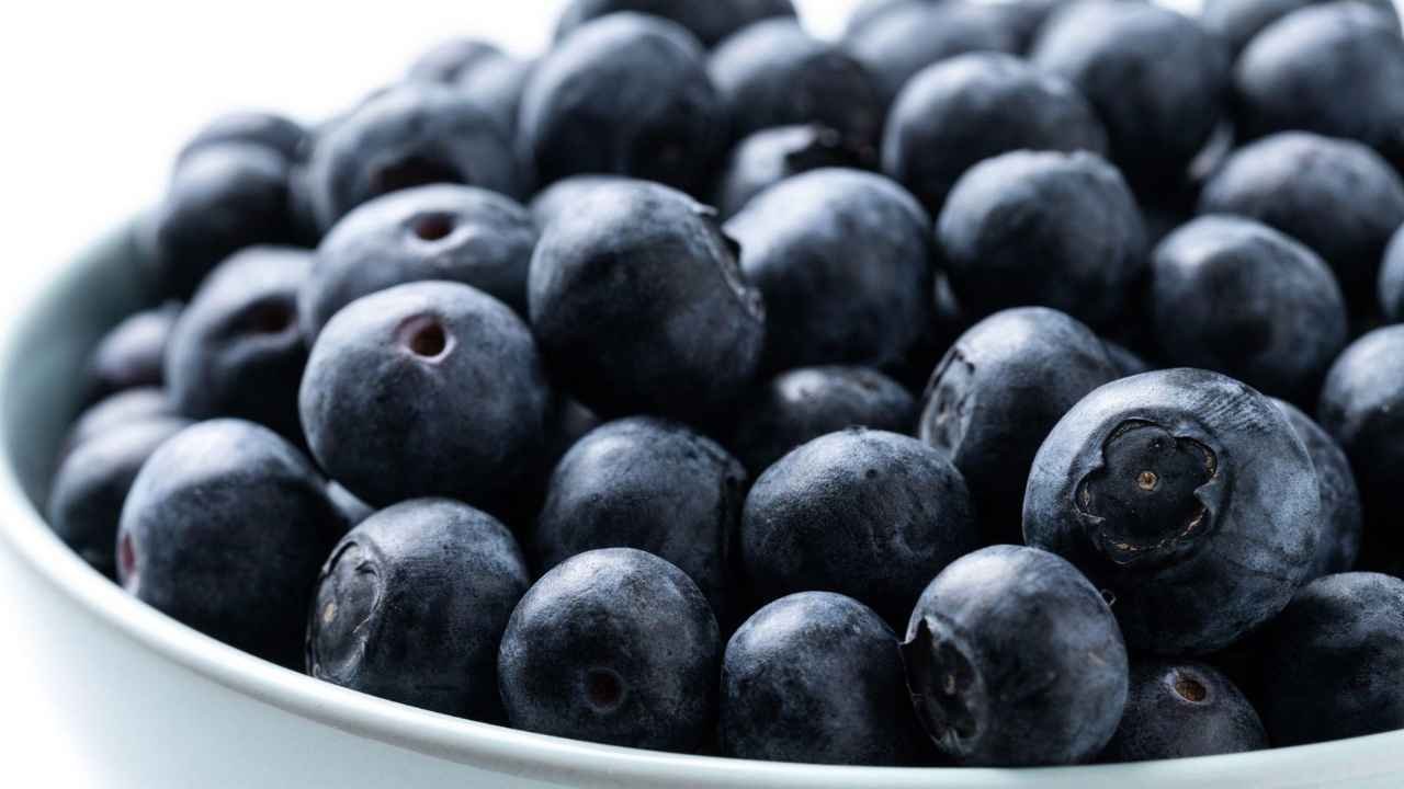 Ποια είναι τα οφέλη και οι πιθανές αρνητικές επιπτώσεις των βατόμουρων | LAMBROS VAKIAROS Ποιες είναι οι Πιθανές Αρνητικές Επιπτώσεις των Βατόμουρων